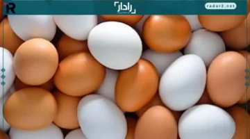 أسعار البيض في كفر الشيخ السبت: الأحمر بـ5.5 جنيه